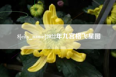 丰城2022年九宫格飞星图