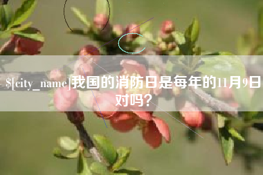 丰城我国的消防日是每年的11月9日对吗？