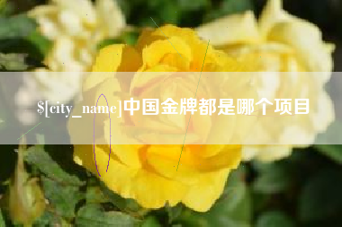 丰城中国金牌都是哪个项目