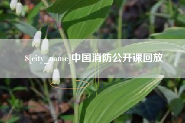 丰城中国消防公开课回放