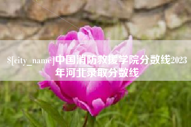 丰城中国消防救援学院分数线2023年河北录取分数线