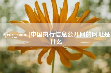 丰城中国执行信息公开网的网址是什么