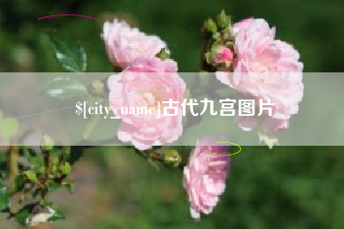 丰城古代九宫图片