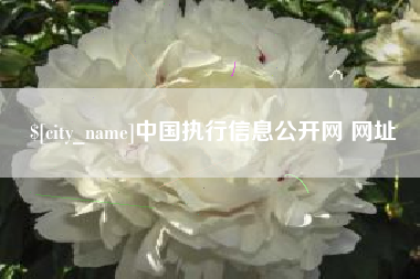 丰城中国执行信息公开网 网址
