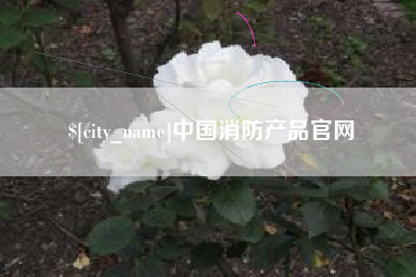 丰城中国消防产品官网