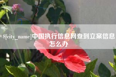 丰城中国执行信息网查到立案信息怎么办