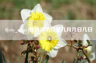 丰城我国消防日是几月几日几日