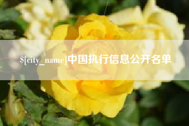 丰城中国执行信息公开名单