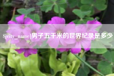 丰城男子五千米的世界纪录是多少