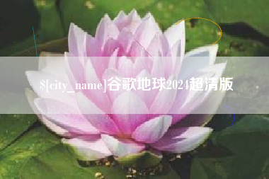 丰城谷歌地球2024超清版