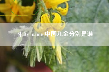 丰城中国九金分别是谁