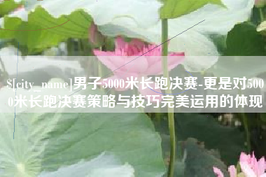 丰城男子5000米长跑决赛-更是对5000米长跑决赛策略与技巧完美运用的体现