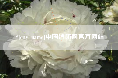 丰城中国消防网官方网站