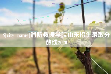 丰城消防救援学院山东招生录取分数线2020