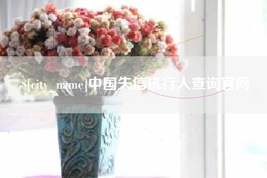 丰城中国失信执行人查询官网