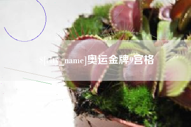 丰城奥运金牌9宫格
