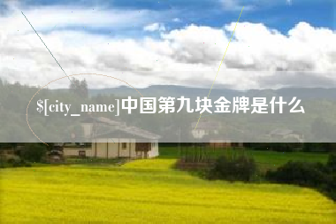 丰城中国第九块金牌是什么