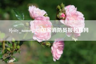 丰城2021国家消防员报名官网