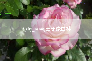 丰城王子豪百科