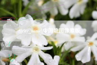 丰城中国地图像素版