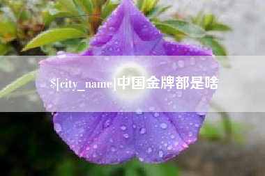 丰城中国金牌都是啥