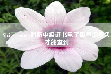 丰城消防中级证书电子版查询多久才能查到