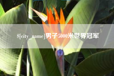 丰城男子5000米世界冠军
