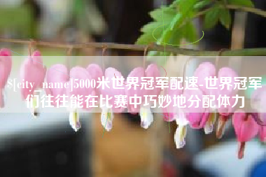丰城5000米世界冠军配速-世界冠军们往往能在比赛中巧妙地分配体力