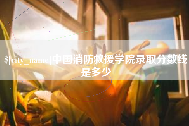 丰城中国消防救援学院录取分数线是多少
