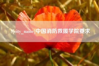 丰城中国消防救援学院要求