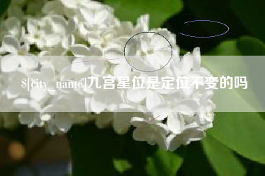 丰城九宫星位是定位不变的吗