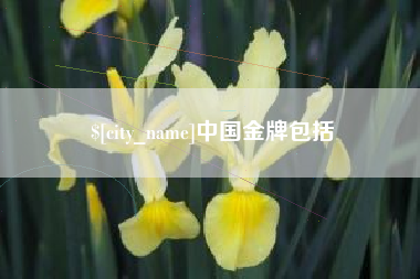 丰城中国金牌包括