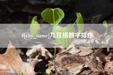 丰城九宫格数字排序