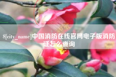 丰城中国消防在线官网电子版消防证怎么查询