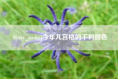 丰城今年九宫格的不利颜色