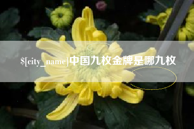 丰城中国九枚金牌是哪九枚