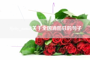 丰城关于全国消防日的句子