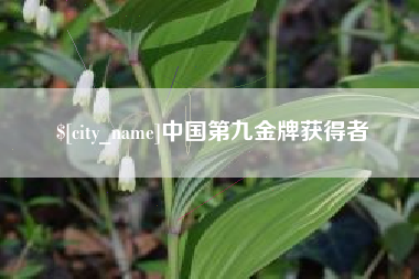 丰城中国第九金牌获得者