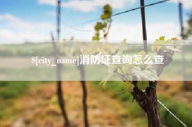 丰城消防证查询怎么查