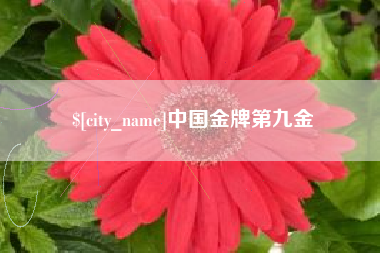 丰城中国金牌第九金