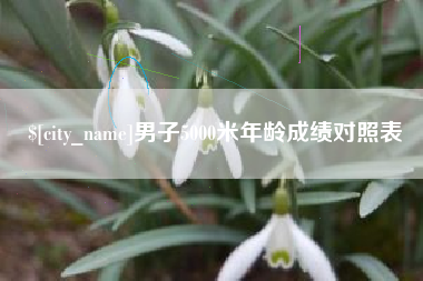 丰城男子5000米年龄成绩对照表