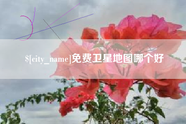 丰城免费卫星地图哪个好