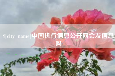 丰城中国执行信息公开网会发信息吗