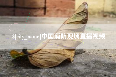 丰城中国消防现场直播视频