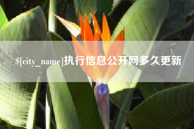 丰城执行信息公开网多久更新