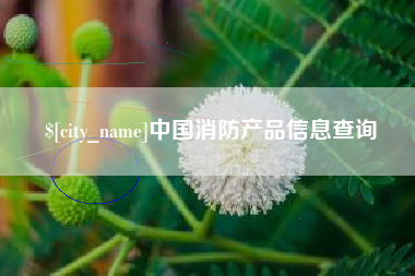 丰城中国消防产品信息查询