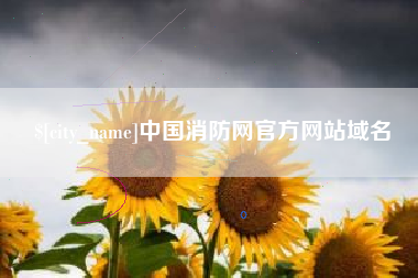 丰城中国消防网官方网站域名