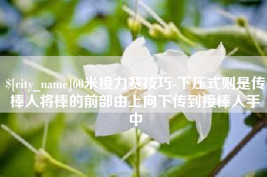 丰城60米接力赛技巧-下压式则是传棒人将棒的前部由上向下传到接棒人手中