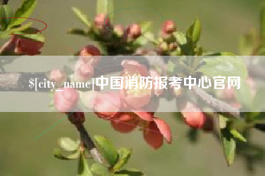 丰城中国消防报考中心官网