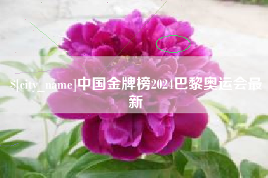 丰城中国金牌榜2024巴黎奥运会最新